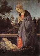 adoration of the child, Filippino Lippi